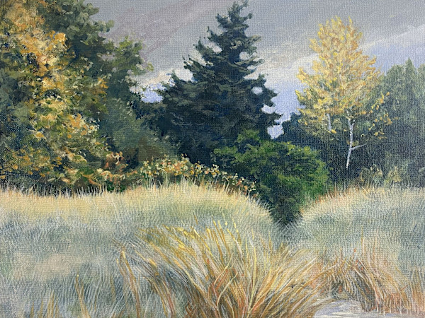Pathway In A Field by Douglas H Caves Sr