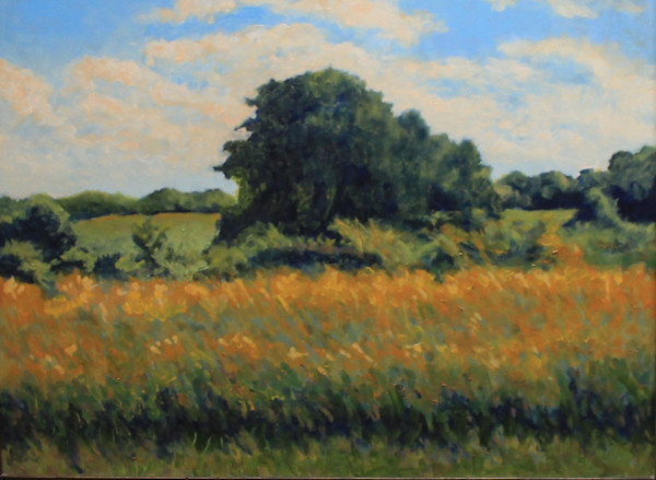 Rhythm of Light and Leaf by Douglas H Caves Sr, Image 1.
