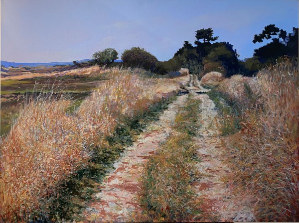 Sunlit Path by Douglas H Caves Sr