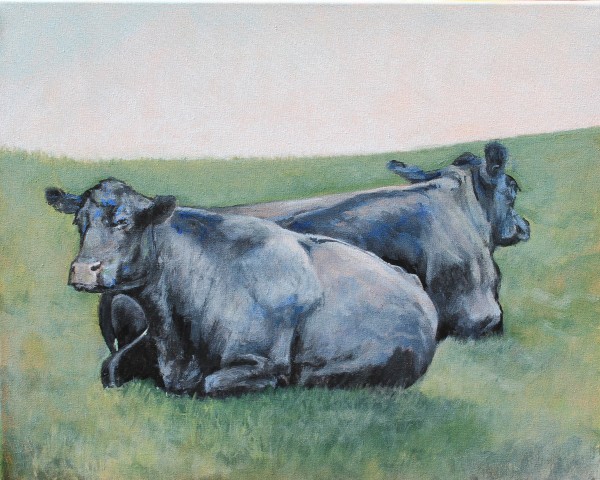 Two Cows Lazing by Douglas H Caves Sr