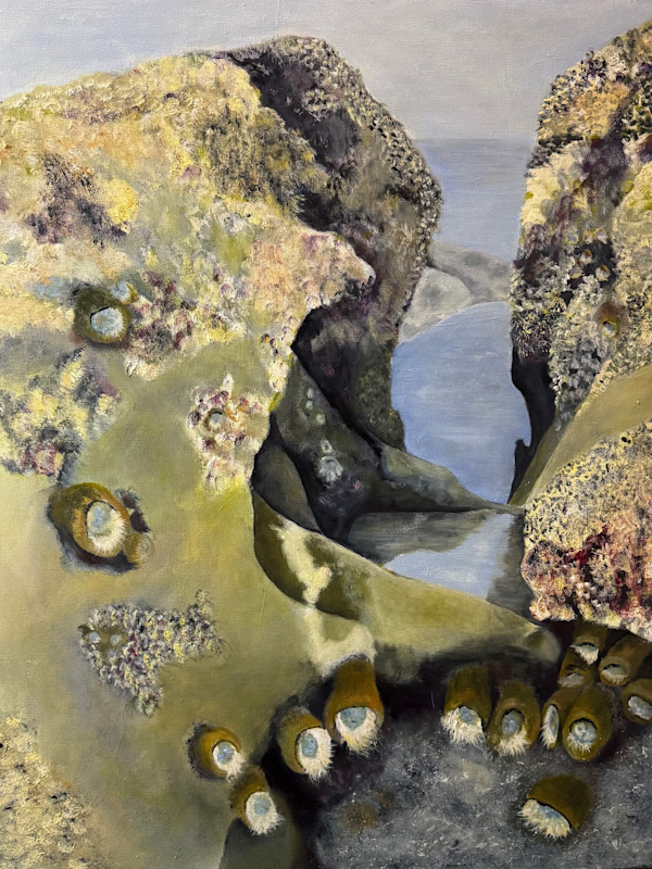 "Minus Tide" by Carol M Ross