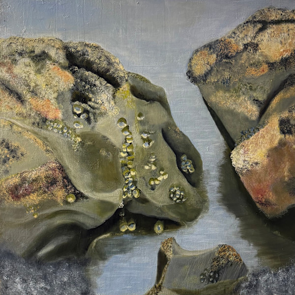 "Between the Rocks" by Carol M Ross