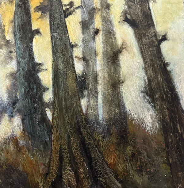 "Forrest Snags" by Carol M Ross