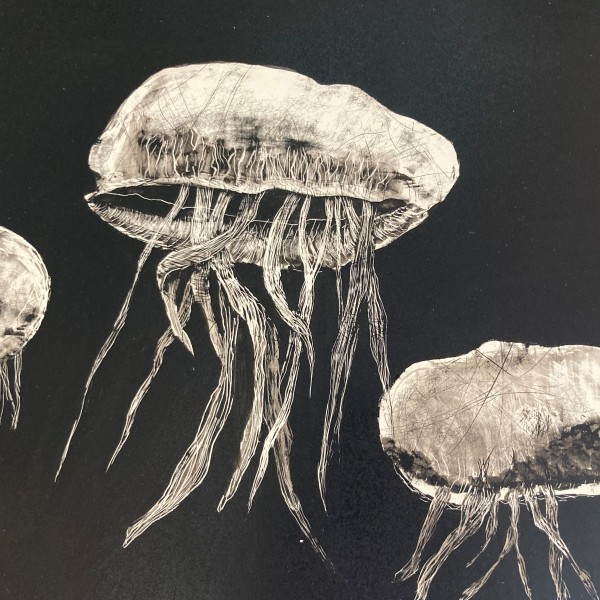"Jellyfish" by Carol M Ross
