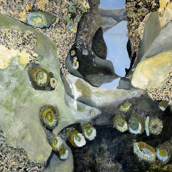 "Low Tide Reflections' by Carol M Ross