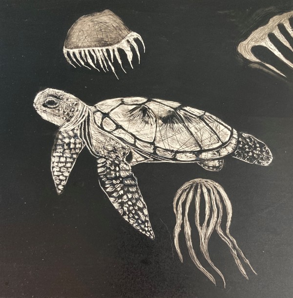 "Turtle With Jellyfish" by Carol M Ross