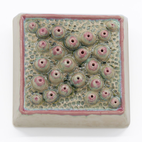 Square Wall Hanging - Big Star Coral by Sandy Miller