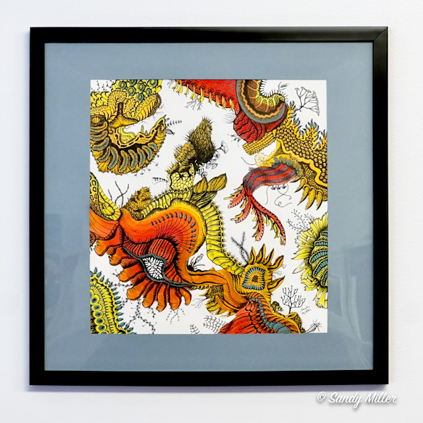 24013 - Vibrant Fanfare 1 by Sandy Miller