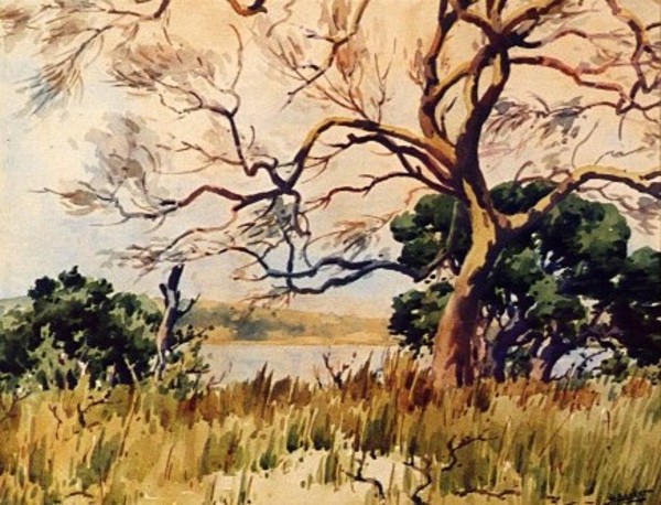 Landscape (Trees) by John BARKER
