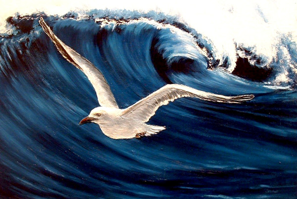 Seagull by Suzanne HALSALL