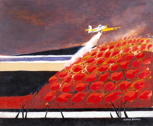 Water Bomber (Dromader 2) by Valerie McDONALD