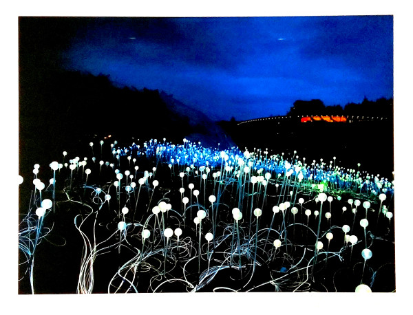 Field of Light by Bruce MUNRO