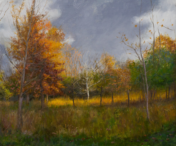 Fall Colors - Sauganash Woods - Framed by Michael Van Zeyl