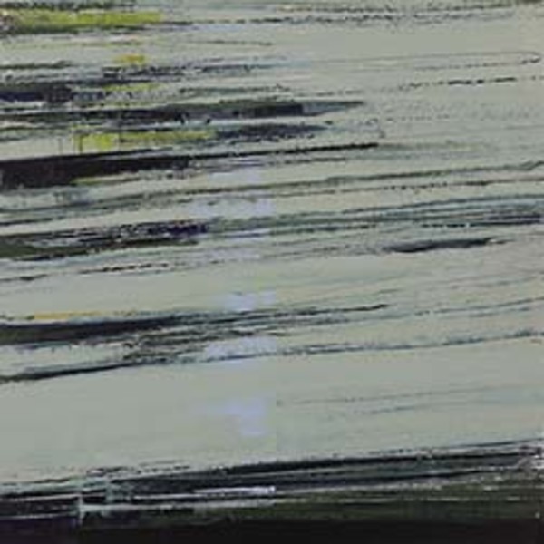 Shifting Shapes Of The Wind