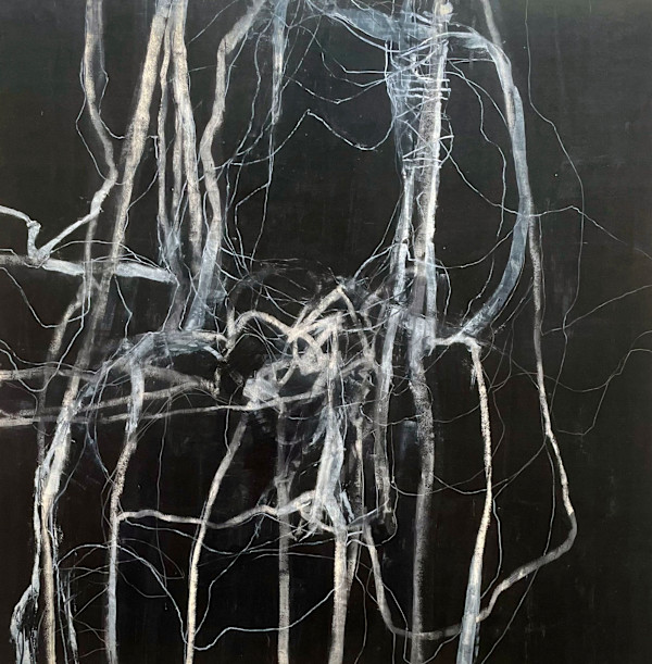 Ghost Shadow by JOHN W WOOD