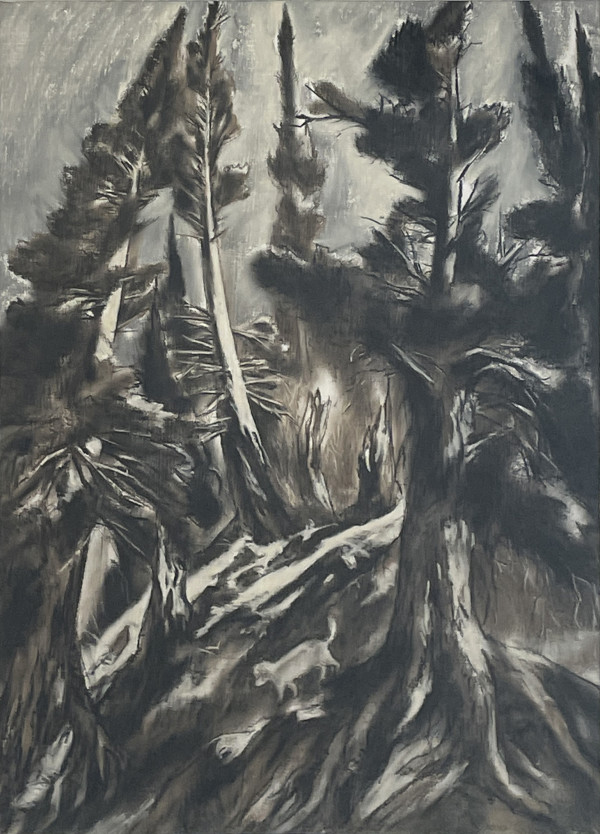unknown by Howard Cook (RAiR 1967-68)