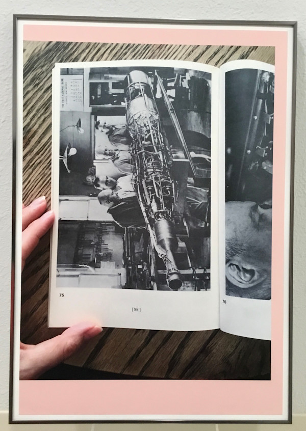 Handling Goddard #75 by Andrea Jespersen (RAiR 2016-17)