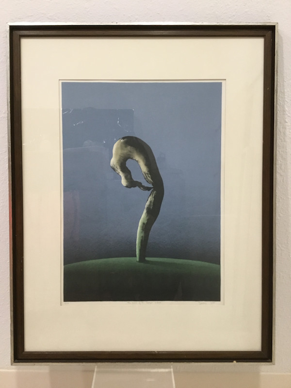 The Vision of the Tragic Flaw by Bruce Lowney (RAiR 1970-71)