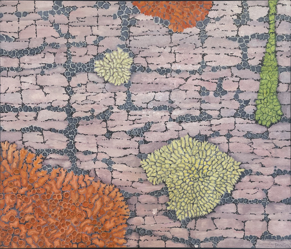 Lichen on Rosy Quartz by Gussie DuJardin (RAiR 1977-78)
