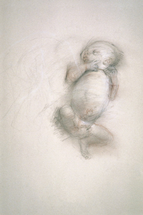 Baby Drawing by Anne Harris (RAiR 1998)