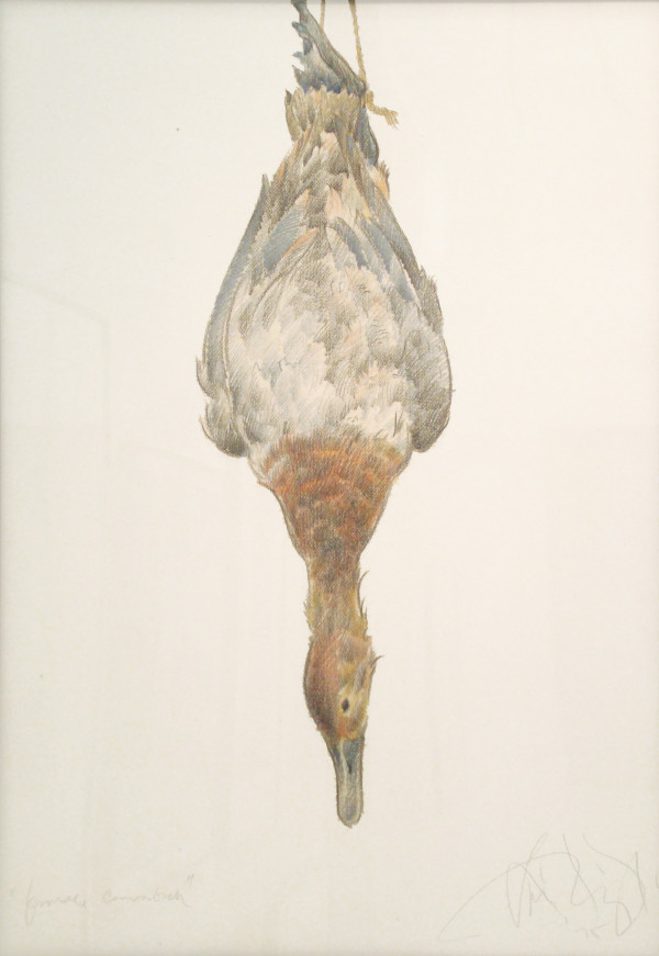 Female Canvasback I by Luis Jimenez (RAiR 1972-73)