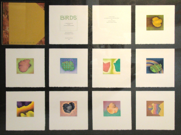 Birds by Michele Sewards (RAiR 1973-74)