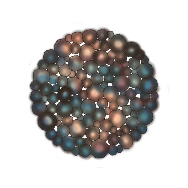 Mandala by Susan Madacsi