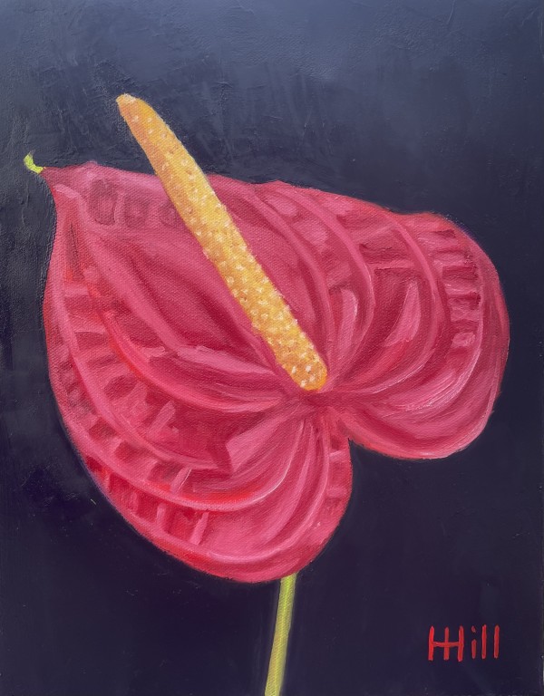 Red Anthurium by Harriet Hill