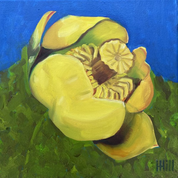 Yellow Pond Lily #2 by Harriet Hill