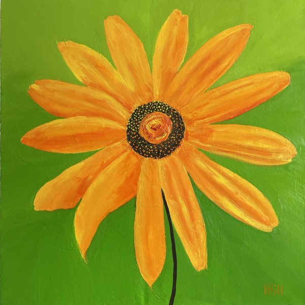 New Hampshire Daisy by Harriet Hill