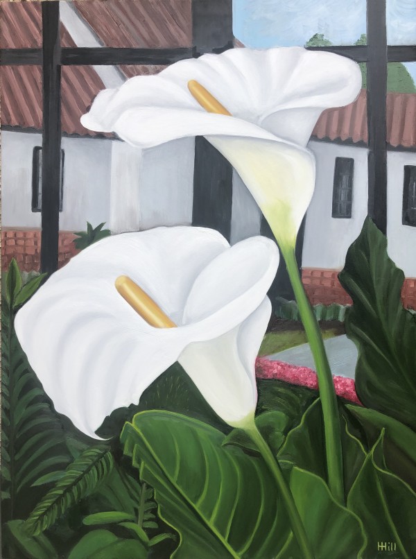 Brakenhurst Calla Lilies by Harriet Hill