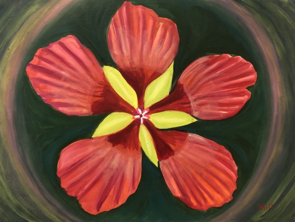 Hibiscus Pinwheel by Harriet Hill