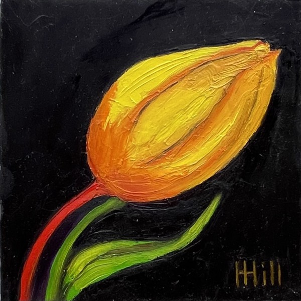 Bold Tulip by Harriet Hill