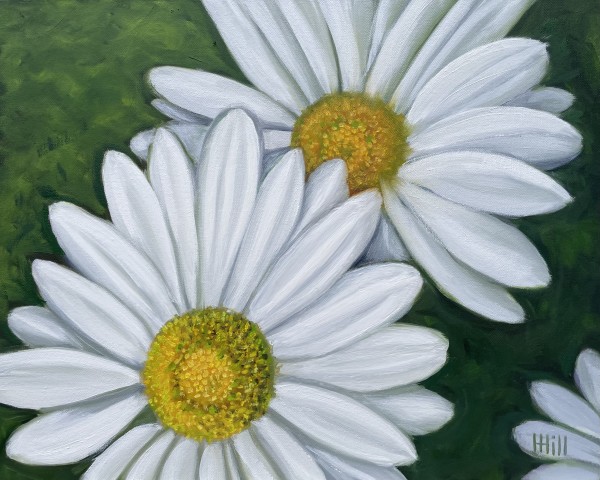 Daisies by Harriet Hill
