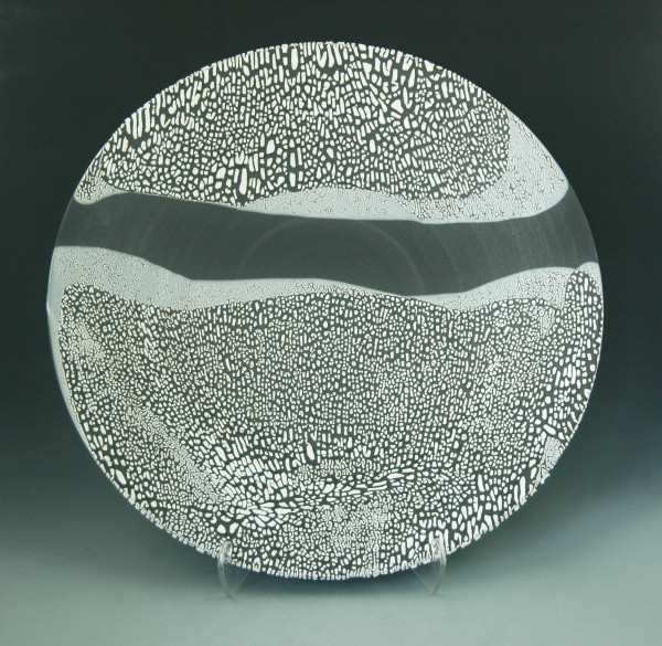 Black Lichen Platter Study #1 by Michael  Bonds