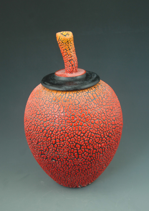 Lichen Vase with Red an Orange Underglazes by Michael  Bonds