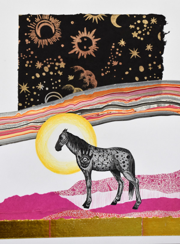 Dark Sky Pony by Johanna Mueller
