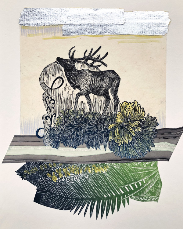 Elk Song by Johanna Mueller
