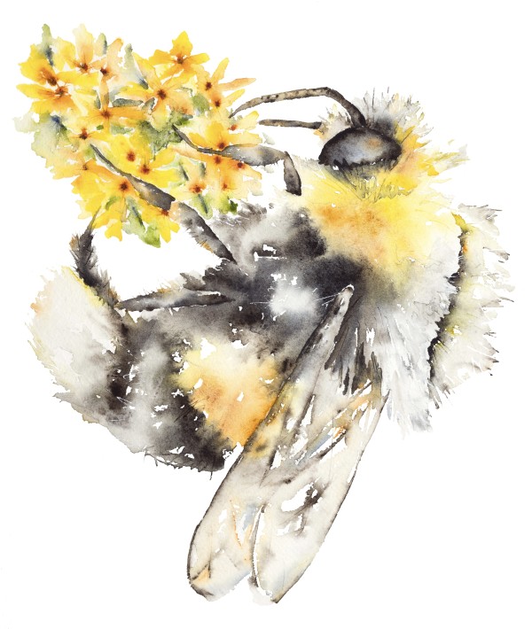 The Pollinator by Leah Potts