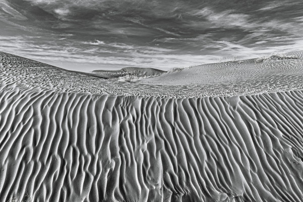 Dune Edge by Richard Sundeen