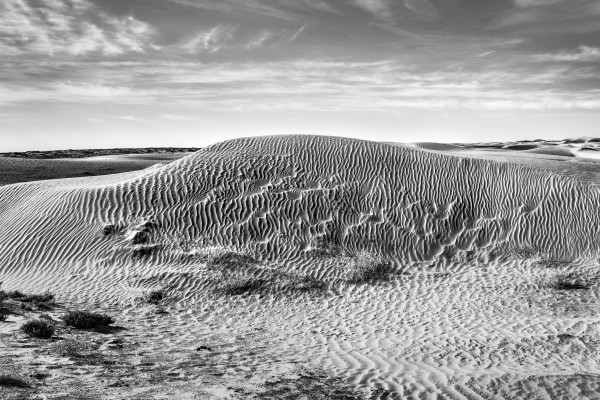 Dune Pattern Sampler by Richard Sundeen