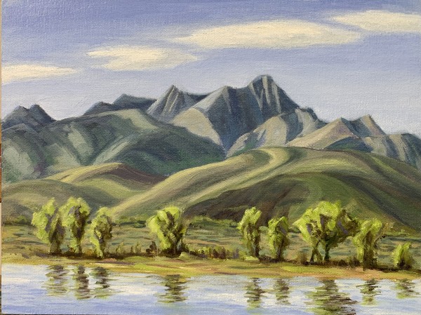 Elk Range from Spring Creek Reservoir by Michael Kinsley