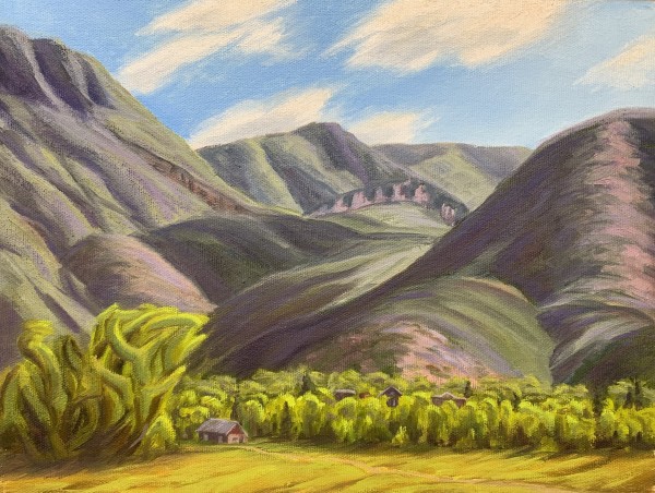 Lower Fryingpan Valley by Michael Kinsley