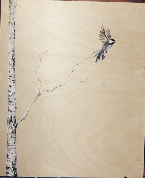 Chickadee and a Birch tree