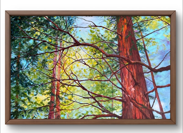 Catching the light by Stacey Rosen