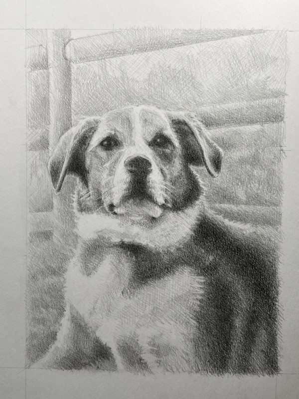 Benny's Portrait by Hope Martin