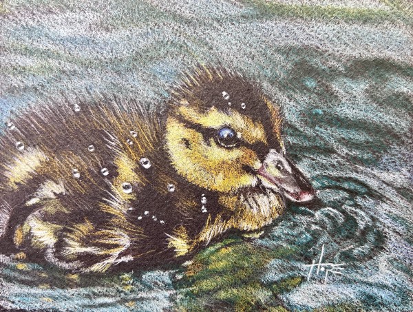 Duckling drawing by Hope Martin