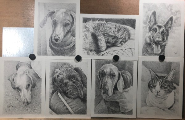 Pet Portrait Fundraiser by Hope Martin