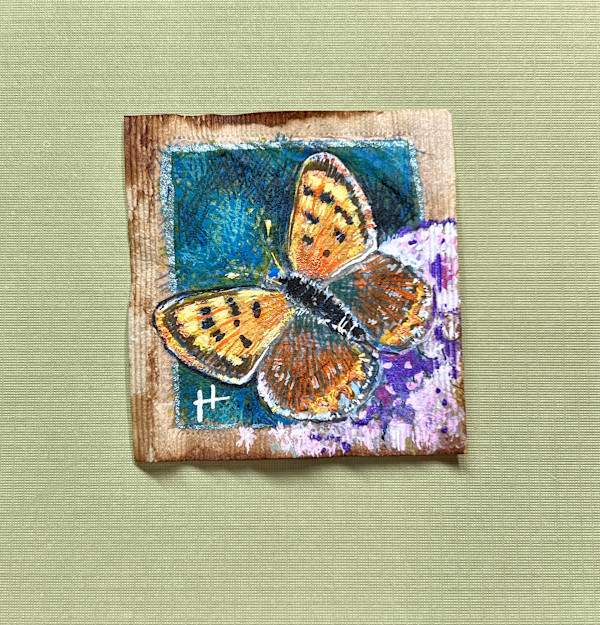 A Little Copper by Hope Martin, Image 1.