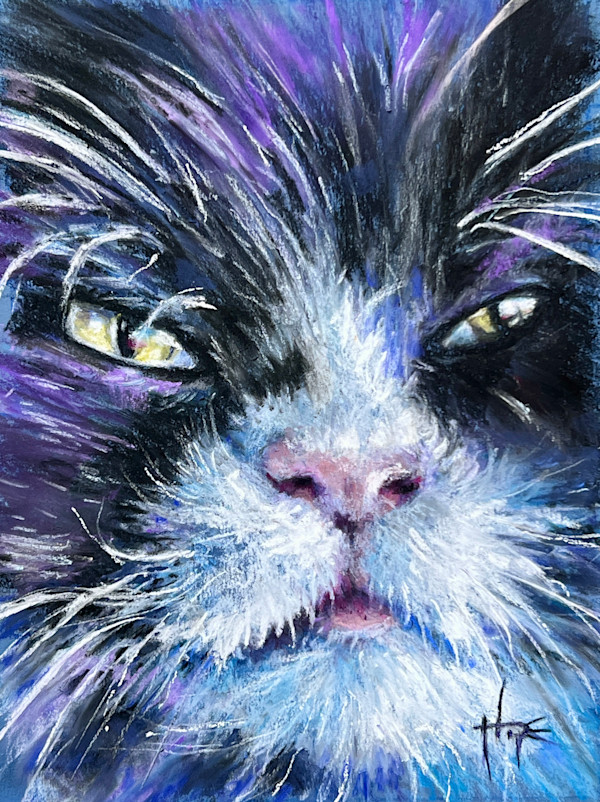 Mr. Fabulous by Hope Martin